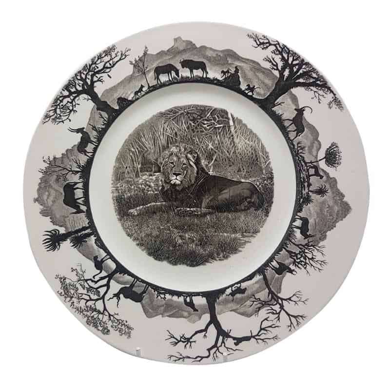 Wedgwood Kruger National Park Lion