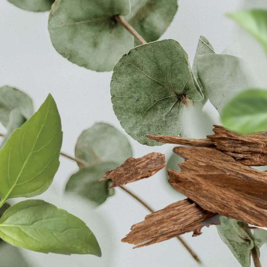 Sauna Ceremony - Lampe Berger Fragrance 500ml