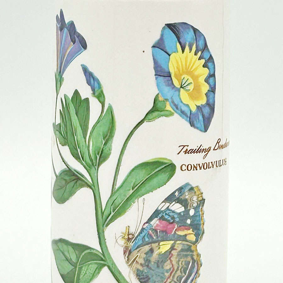 Portmeirion Botanic Garden Trailing Bindweed Sugar Castor