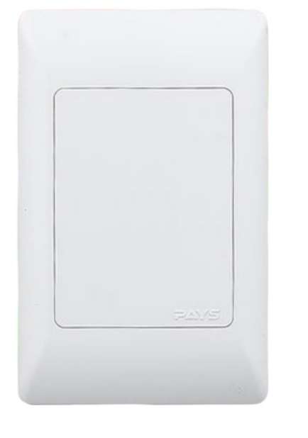 Noble Pays 4x2 Blank Cover Plate