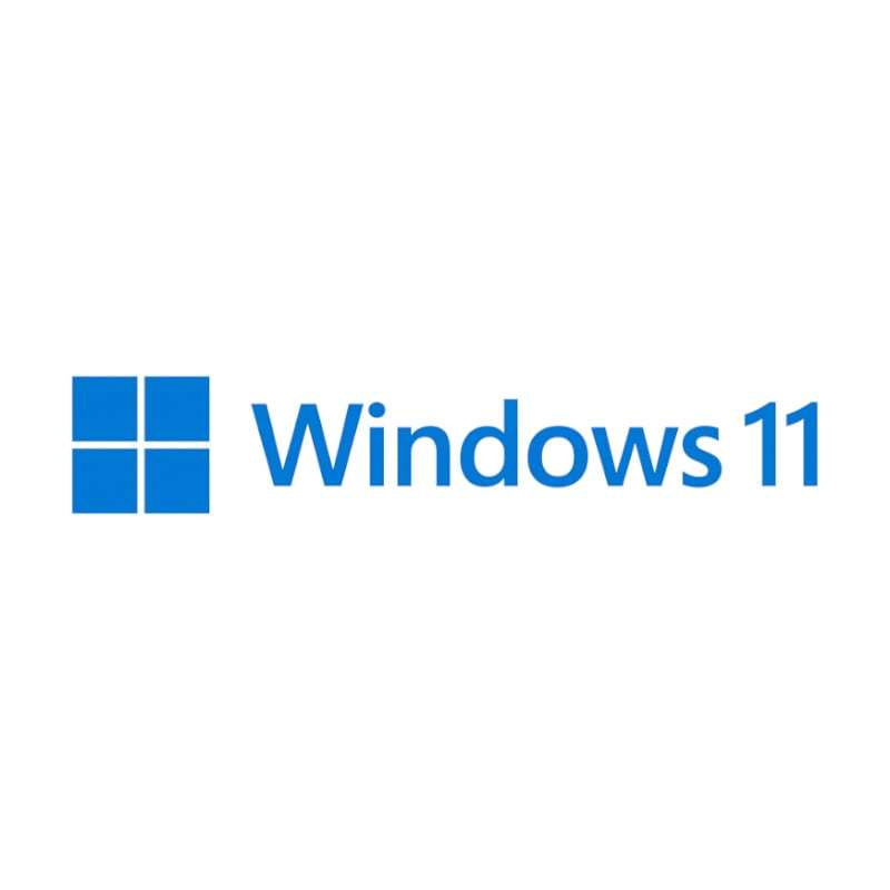 WIN 11 PRO 64BIT ENG 1PK DSP DVD