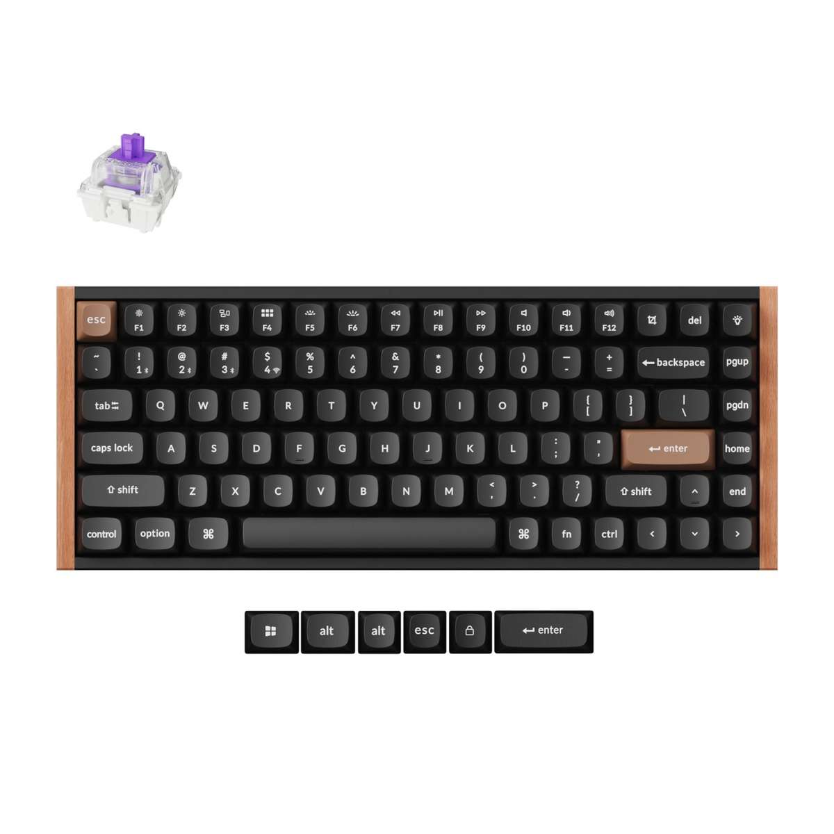 Keychron K2 HE Wireless Special Edition Magnetic Custom Keyboard | NEBULA Switch - Black