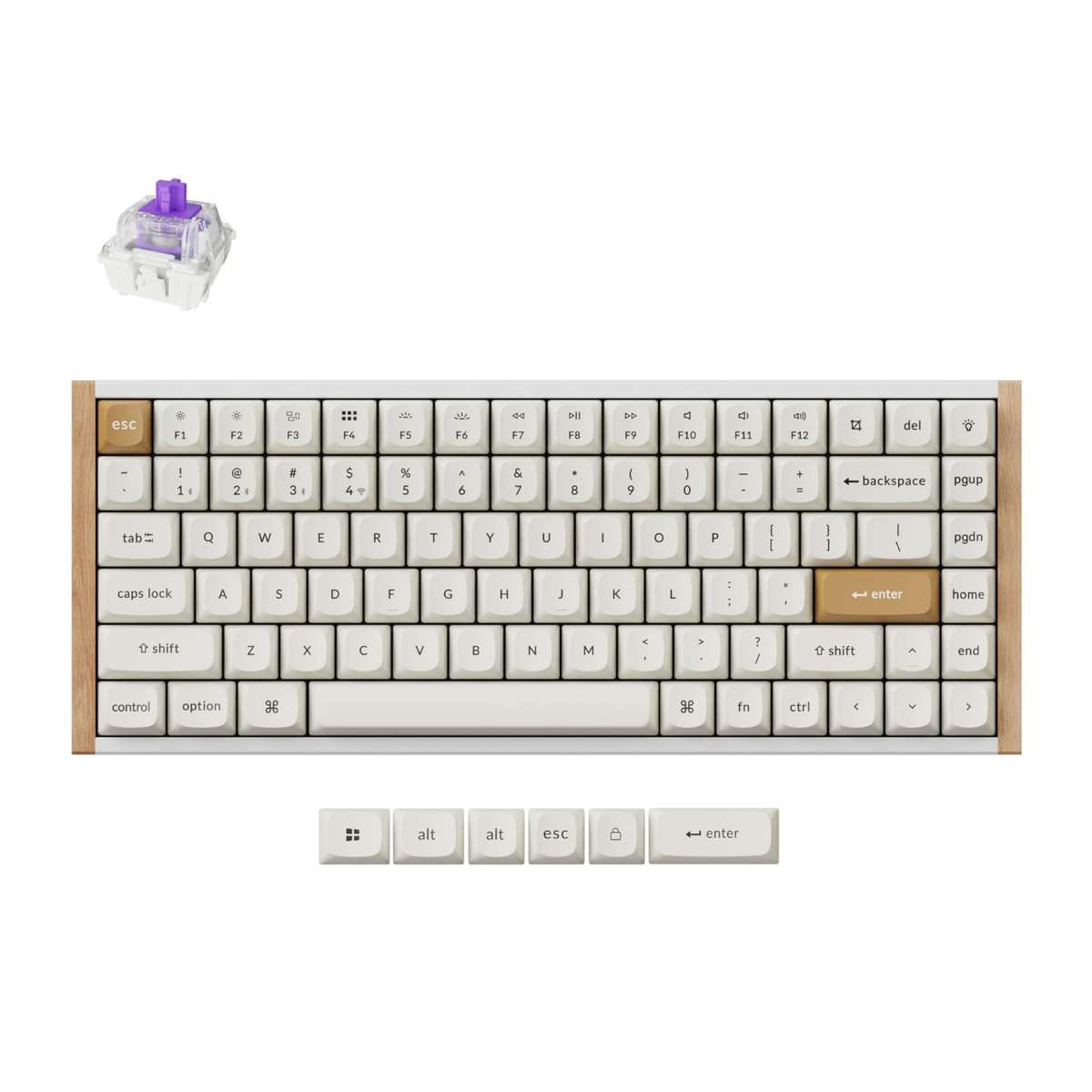 Keychron K2 HE Wireless Special Edition Magnetic Custom Keyboard | NEBULA Switch - White