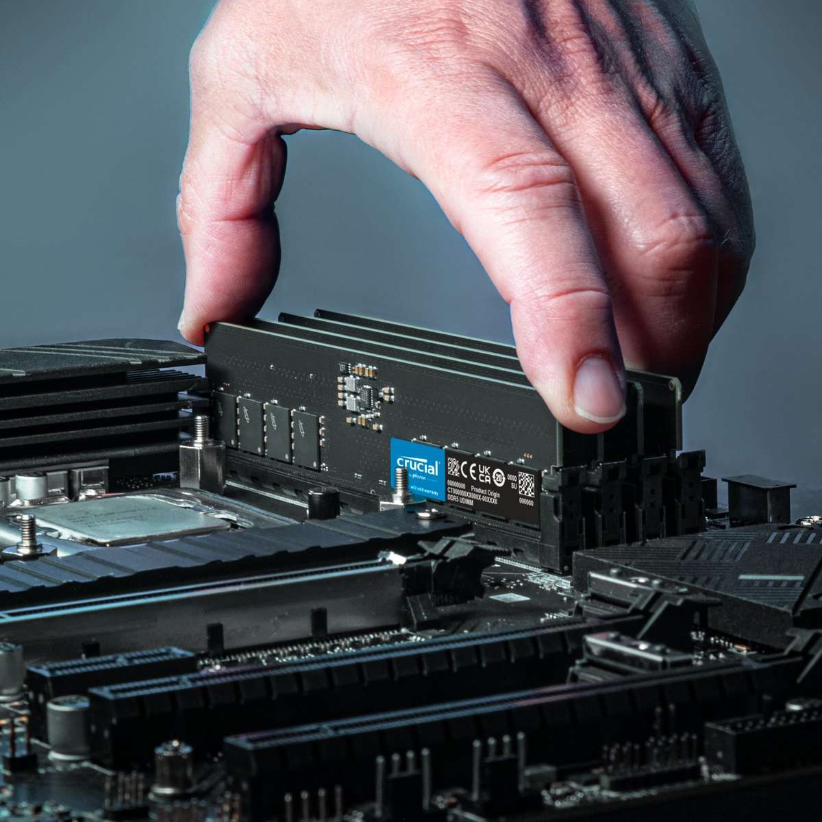 Crucial 16GB 5600MHz DDR5 Desktop Memory