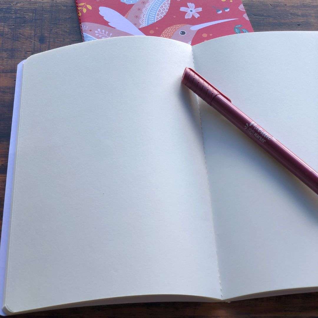 SPECIALTY JOURNALS - HUMMINGBIRD A5 NOTEBOOKS (3 PACK)