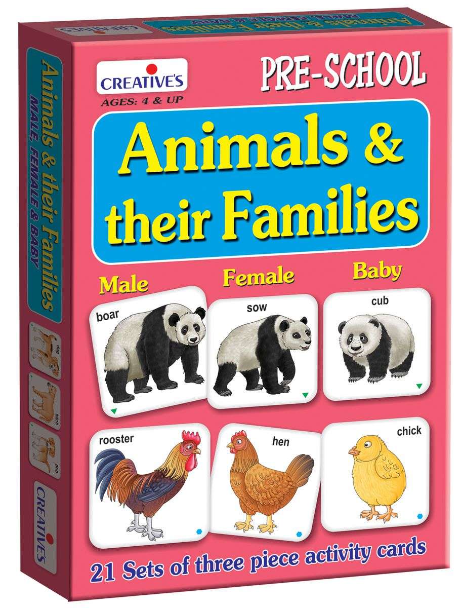 Creatives Animals and Their Families