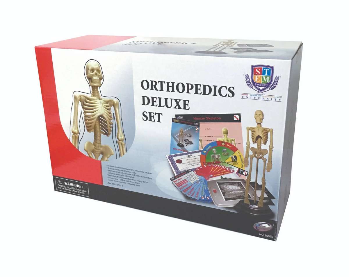 STEM Human Skeleton Orthopedics Deluxe Set