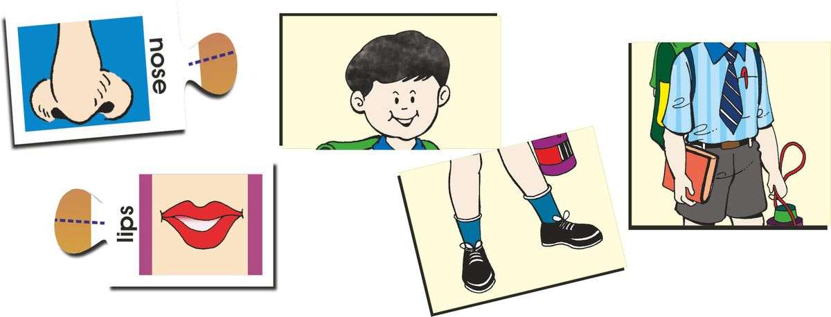 Creatives - Body Parts (Puzzles Learning About The Body)