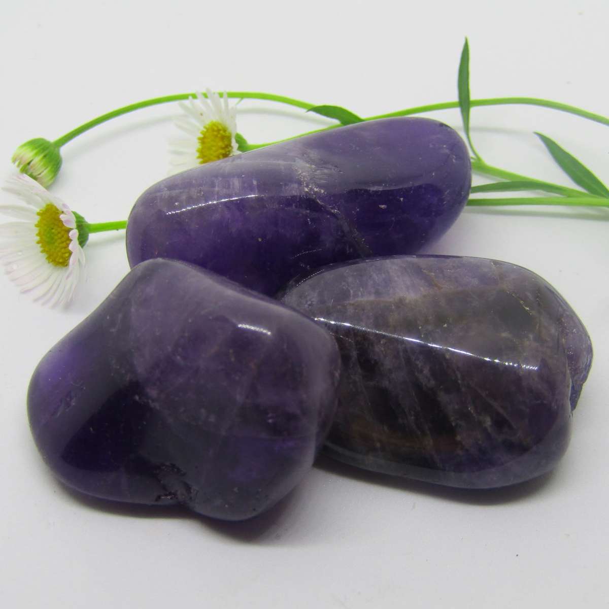 Amethyst Tumbles (Medium Dark)