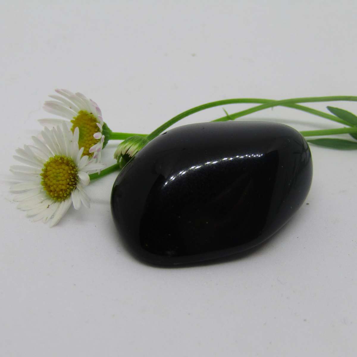 Black Obsidian Tumbles