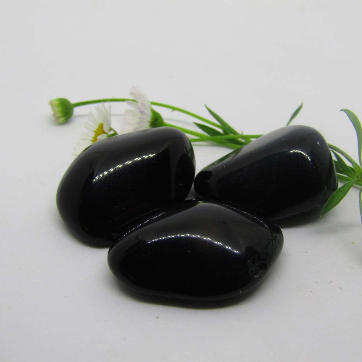 Black Obsidian Tumbles