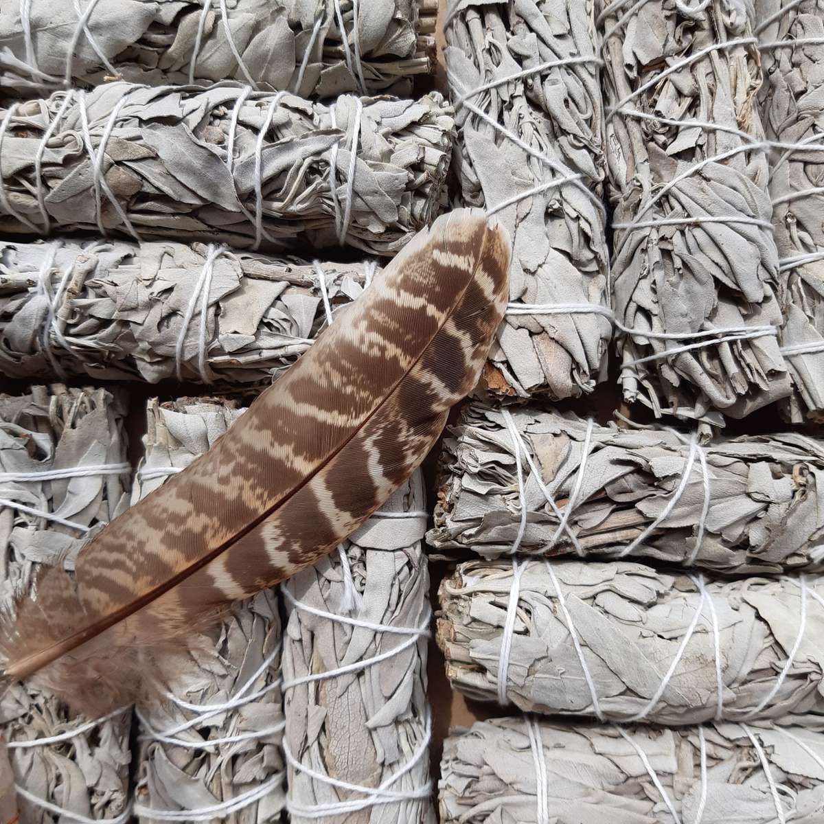 Californian White Sage Smudge bundle