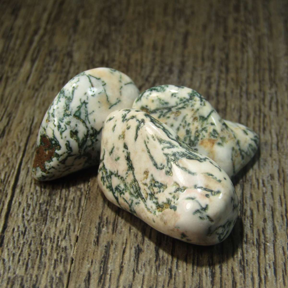 Dendritic Agate Tumbles