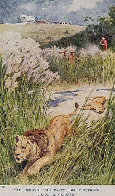 Pioneers in South Africa (1914)