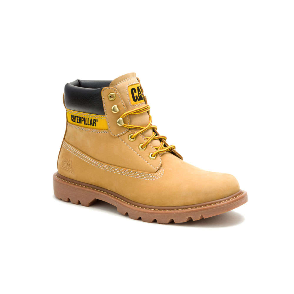 CAT Colorado 2.0 Tractor - Honey