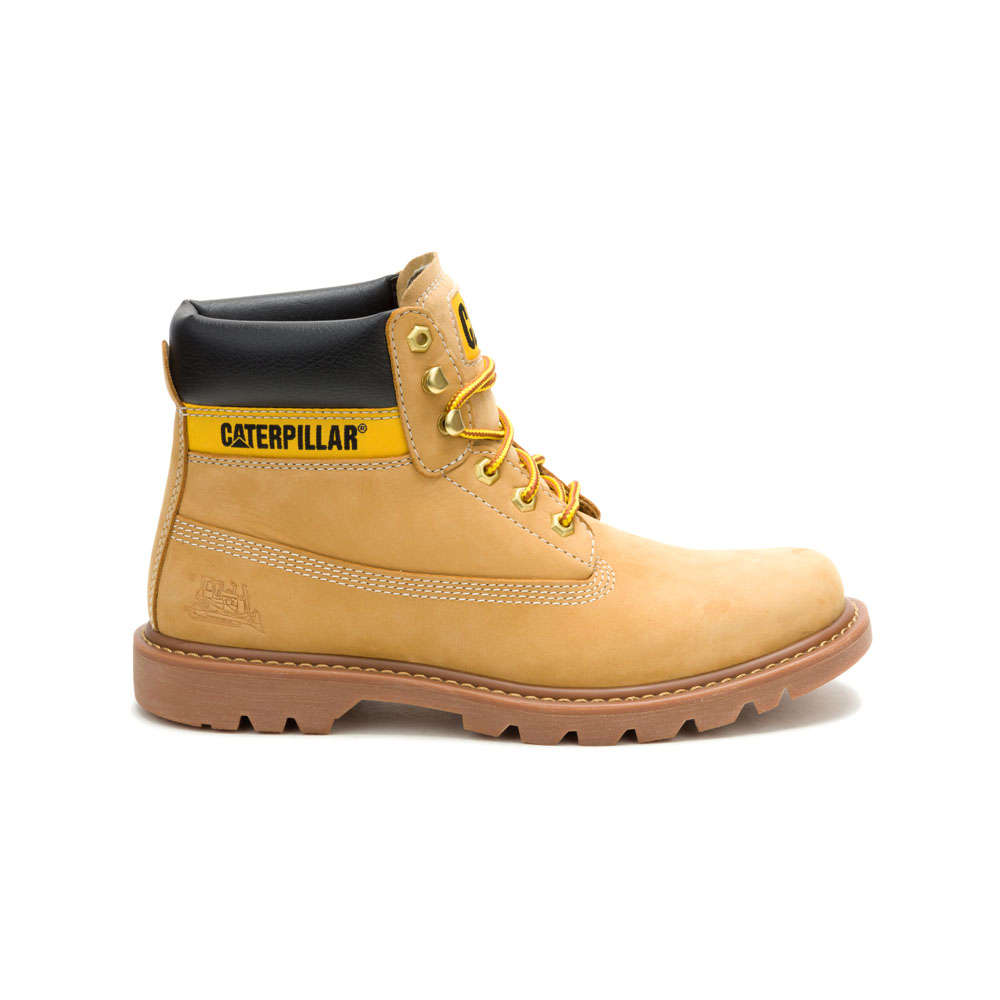 CAT Colorado 2.0 Tractor - Honey