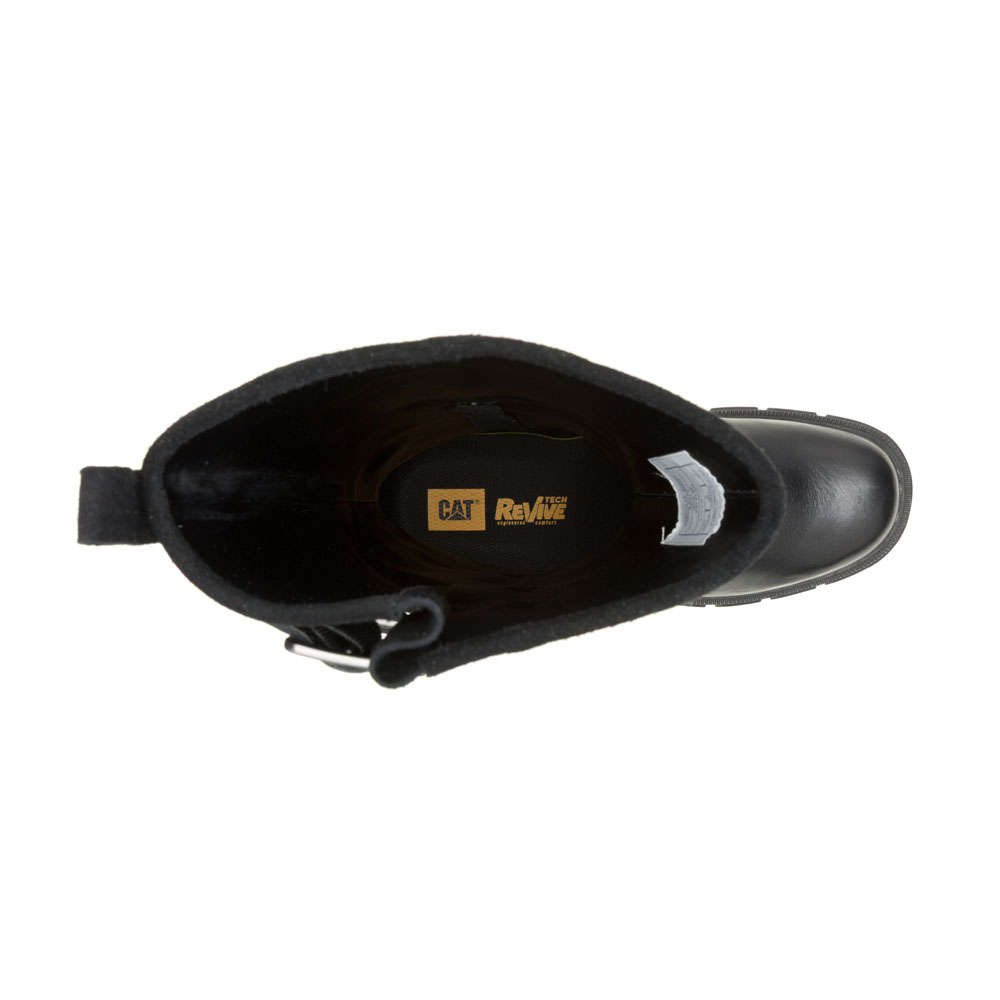 CAT Notion Buckle- Black