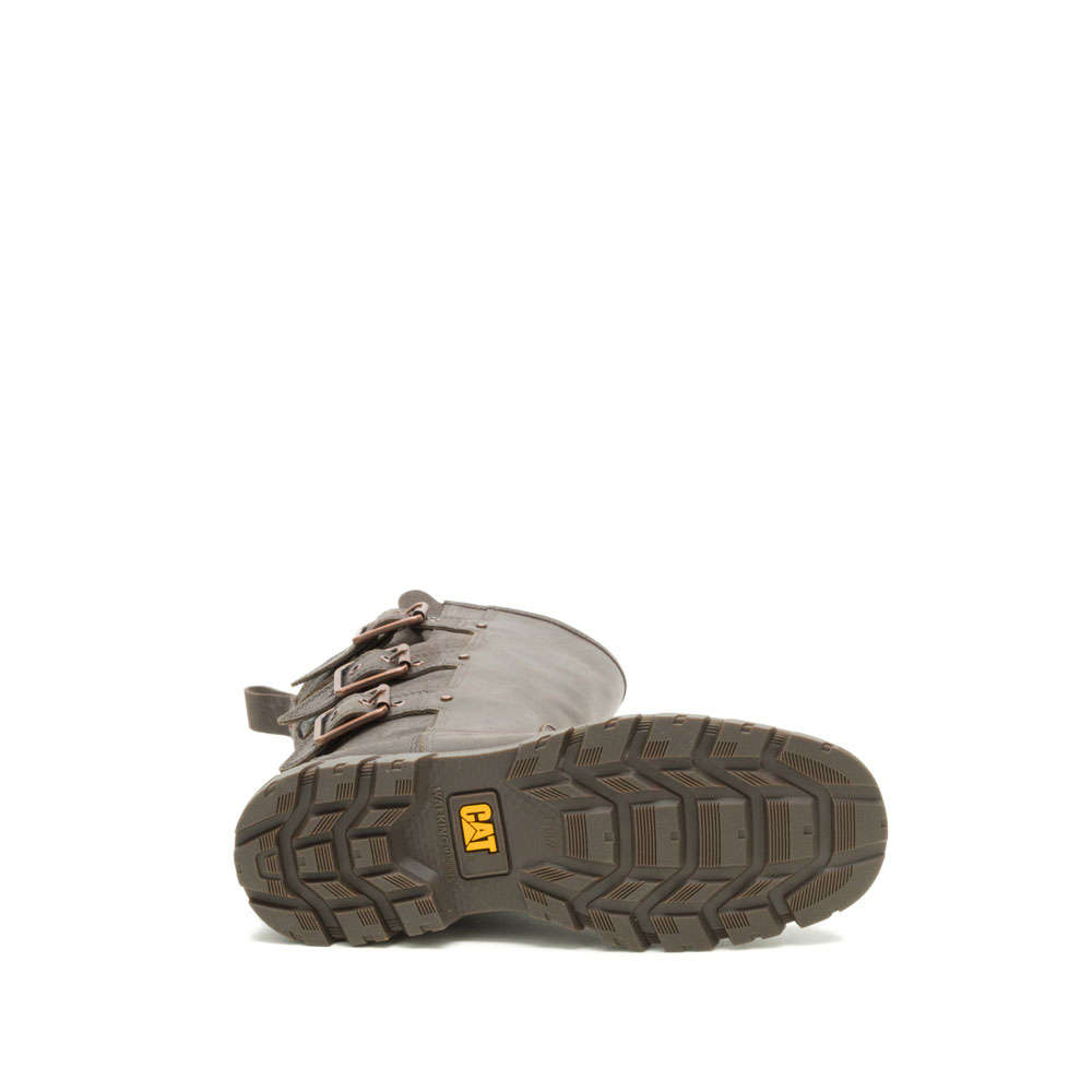 CAT Notion Buckle- Cub