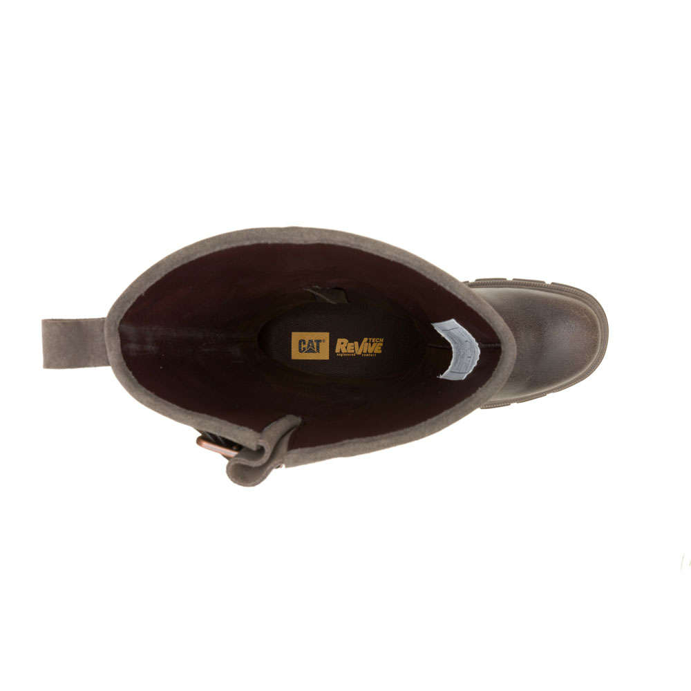 CAT Notion Buckle- Cub