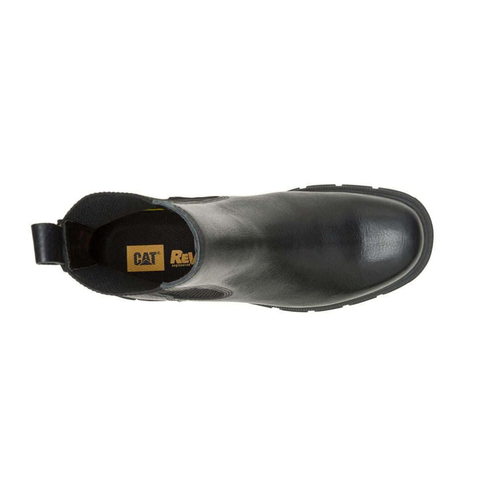 CAT Notion Chelsea- Black