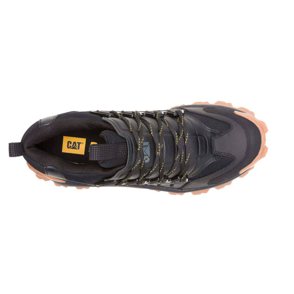CAT Intruder Met- Black