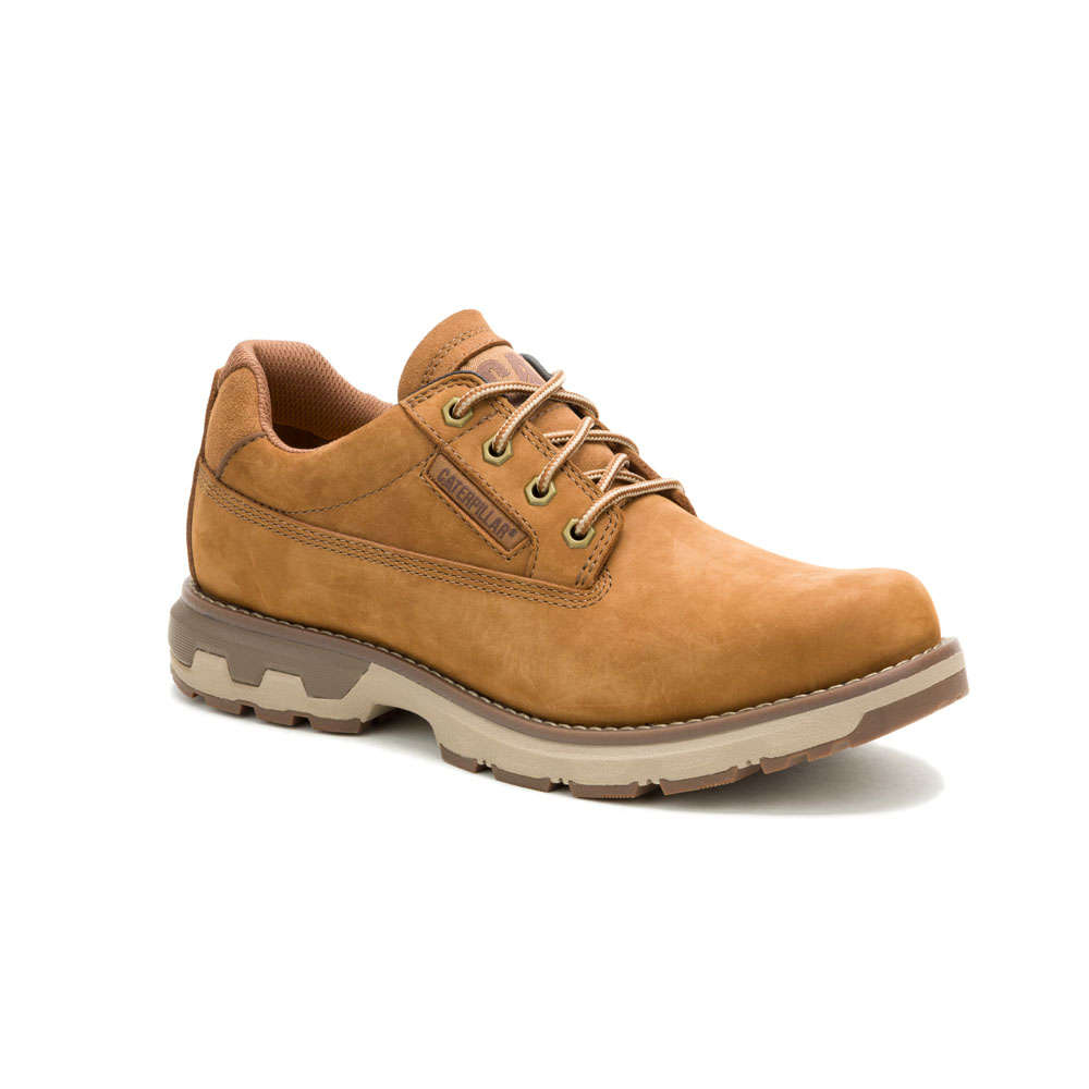 CAT Pursue Lo- Bronze Brown