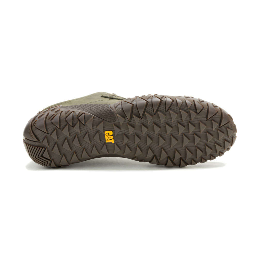 CAT Gridlock Lo- Olive Night