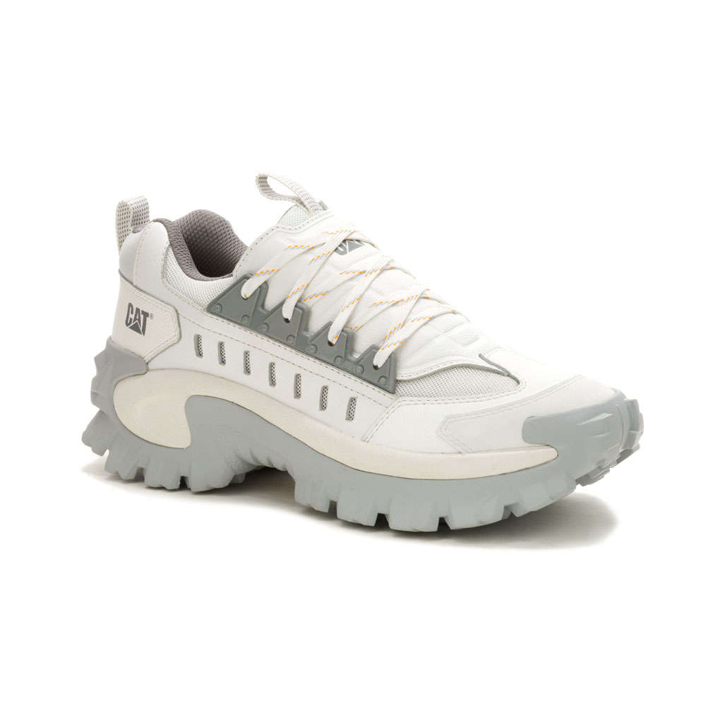 CAT Intruder Met- Bright White