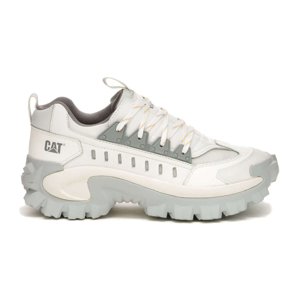 CAT Intruder Met- Bright White