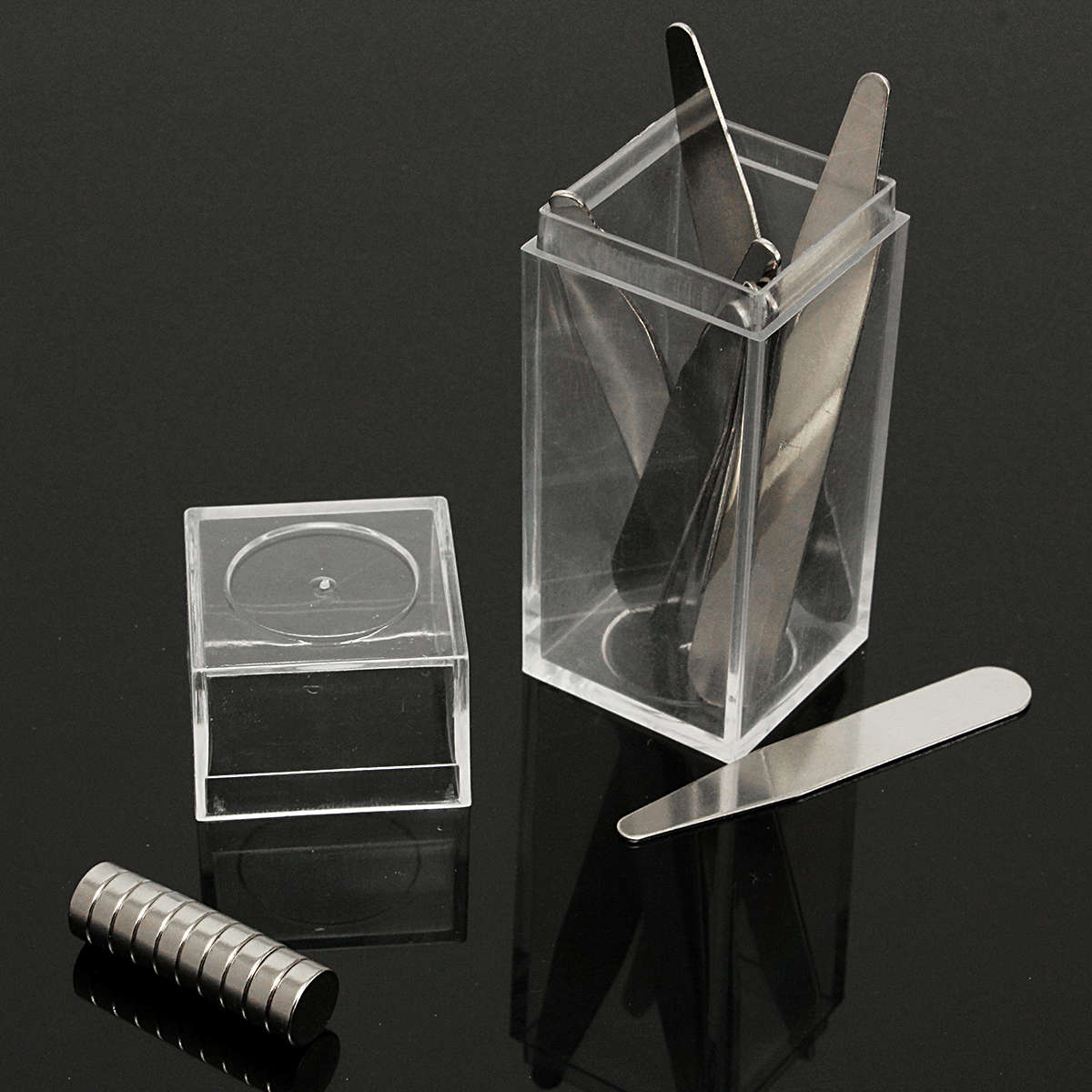 10Set Magnetic Metal Collar Stays Bones with Magnet & Box