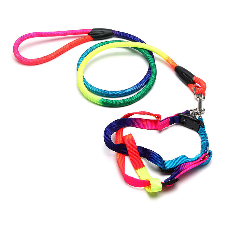 Yani HG-PC2 Pet Dog Colorful Belt Leash Attractive Cool Nylon Collar Adjustable