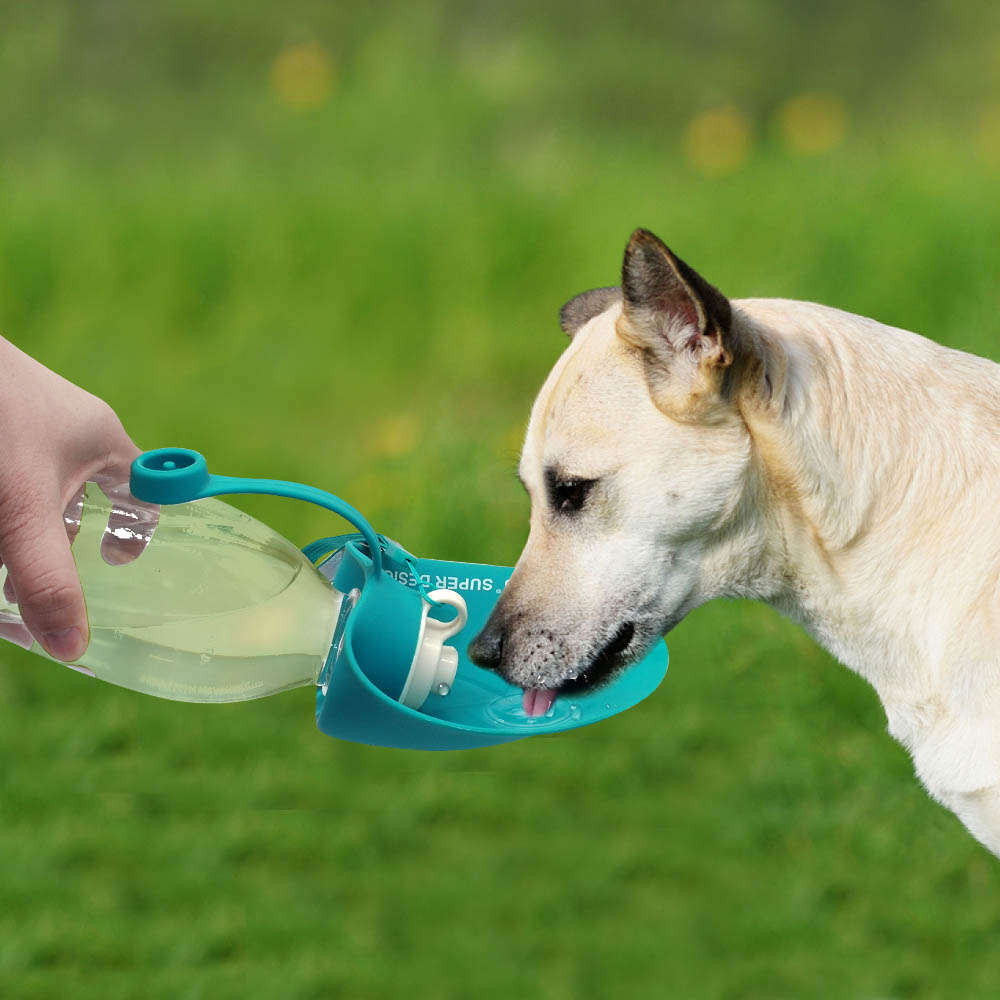 650ml Sport Portable Leaf Pet Dog Water Bottle Expandable Silicone Travel Dog B