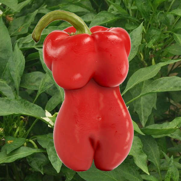 200Pcs Sexy Beauty Pepper Seeds Square Ornamental Red Bell Pepper Seeds Garden