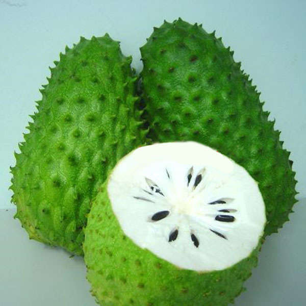 Egrow 20Pcs/Pack Soursop Seed Graviola Guanabana Annona Muricata Garden Rare Fr