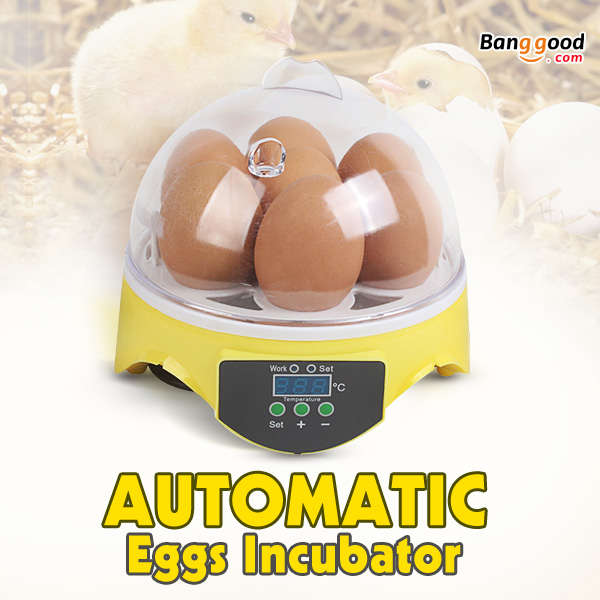 EU Automatic Eggs Incubator Mini Incubation Equipment Farm 7 Eggs Household Tea