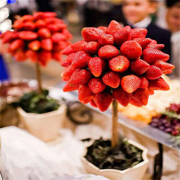 Egrow 100 Pcs/Pack Strawberry Tree Seeds Rare Fruit Strawberry Bonsai Seed Gard