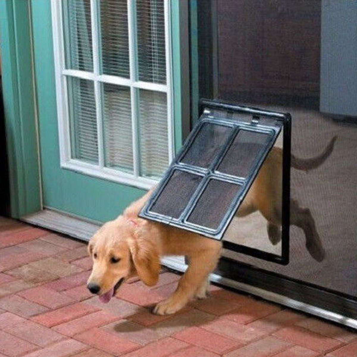 Dog Cat Pet Large Screen Door 2-Way Flap Lock Gate Way For Window Security BLACK