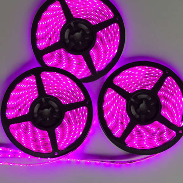 5M SMD 3528 Waterproof Pink Purple Romantic Flexible 300 LEDs Strip Light DC 12V