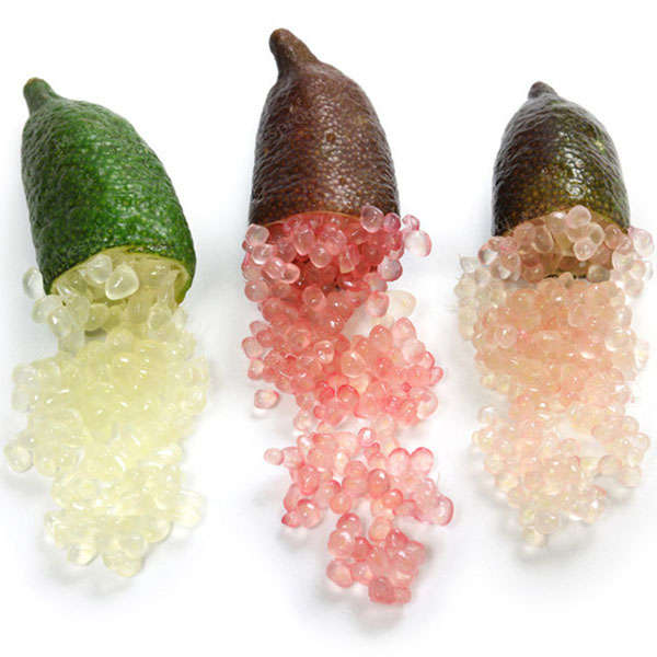 Egrow 20 Pcs/Pack Finger Limes Citrus Orange Seeds Garden Balcony Bonsai Fruit