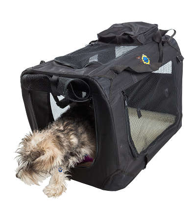 Collapsible Pet Carrier - Medium