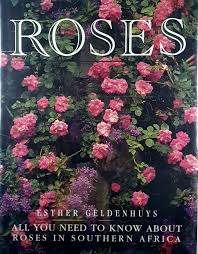 Roses: All You Need to Know About Roses in South Africa