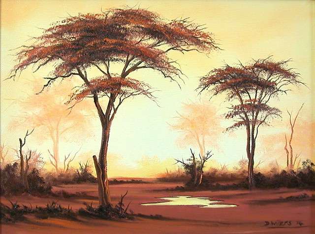 DANE WILLERS Oil: Chobe Sunset. Gallery Price: R 6000.00