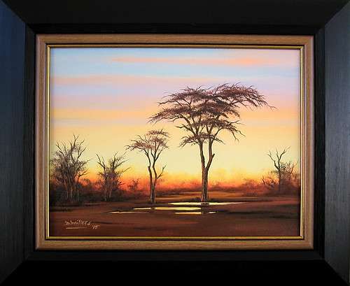 DANE WILLERS Original Oil. Bushveld Gold. FRAMED, Size: 560 x 460 mm. Gallery Price: R5000.00