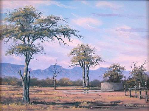 DANE WILLERS Original Oil on Stretched Canvas.: Noord Transvaal.   Gallery Price: R4500.00