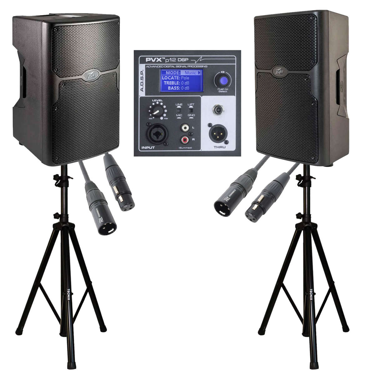 Peavey PVXP-12 DSP Bundle