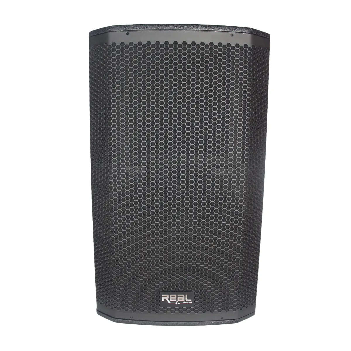Real Sound MS-15/2+ Full Range Passive Speaker