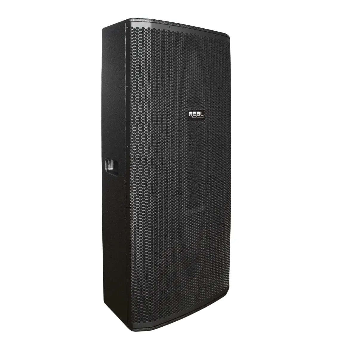 Real Sound MS-215/2+ 15 Dual Passive Speaker