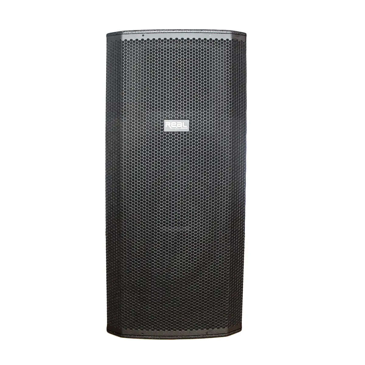 Real Sound MS-215/2+ 15 Dual Passive Speaker