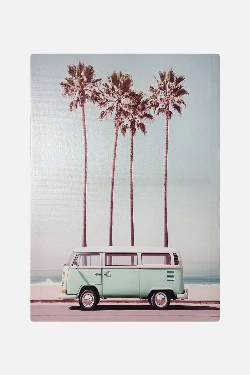 Canvas Kombi Palm 38x58 T2