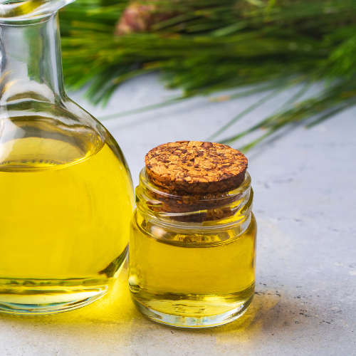 Pine Essential Oil - 10ml